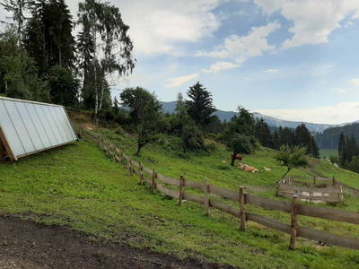 Bild 89 aus  Chalet Kaiser