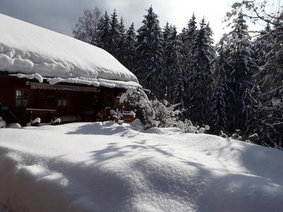 Bild 83 aus  Dichtlhof