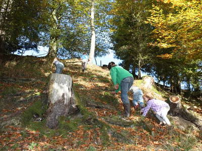 Bild 30 aus  LandSelection Gut Grasleiten