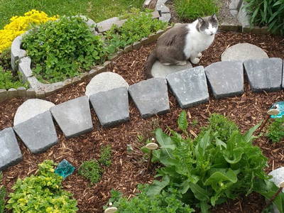 Bild 30 aus  Marteshof