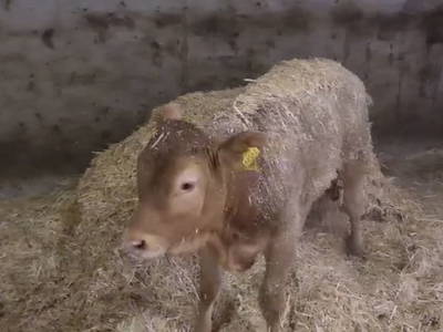 Bild 236 aus  Seewaldhof