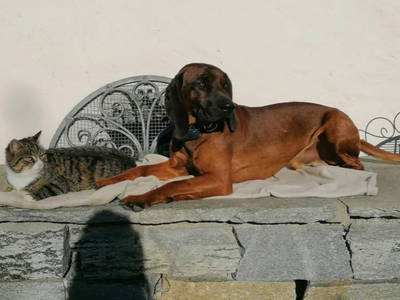 Bild 24 aus  Oberdeutinghof