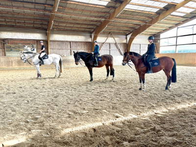 Bild 2 aus  Reiterhof Tramm