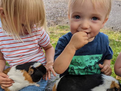 Bild 15 aus  Leverenzhof