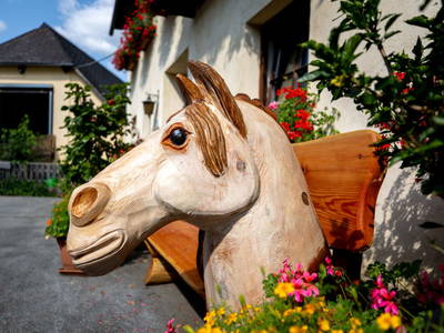 Bild 54 aus  Olachgut