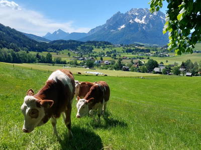 Bild 117 aus  Hüttstädterhof