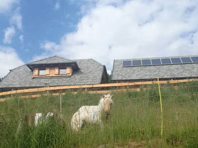 Bild 30 aus  Almchalet Nikola