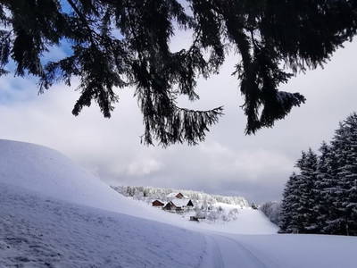 Bild 33 aus  Attersee - Ferienhof Margarethengut - Salzkammergut