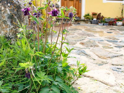 Bild 40 aus  Wohlfühloase Koglerhof