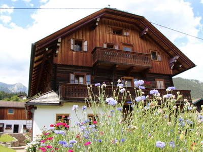 Bild 19 aus  Schmiedlehnerhof