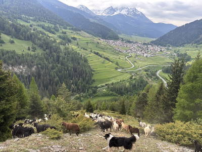 Bild 142 aus Riatschhof