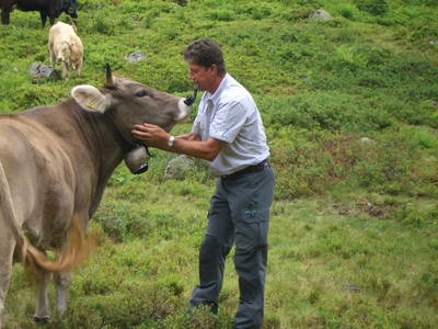 Bild 27 aus  Bio und Bergbauernhof Saller 