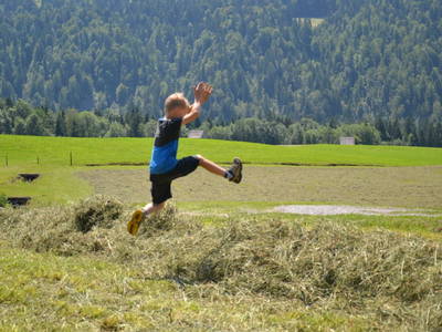 Bild 33 aus  Dorner Hof