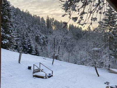 Bild 55 aus  Holzknechthütte