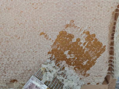 Bild 92 aus   Bachbauer am Attersee