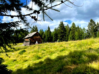Bild 16 aus Adambauerhütte