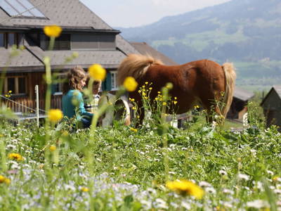 Bild 40 aus  Bio Ferienbauernhof Greber