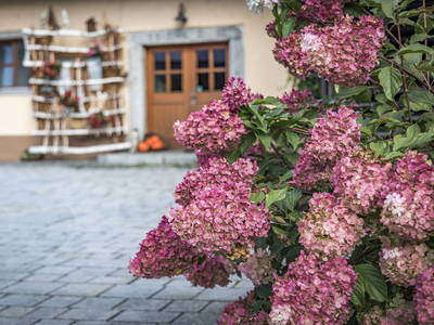 Bild 72 aus  Urlaub am Regen - Biobauernhof Dirnberger