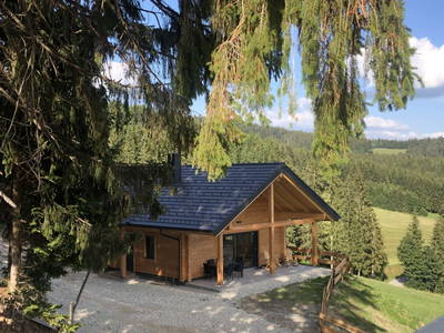 Bild 39 aus  Blockhaus Waldspiel - Adults Only