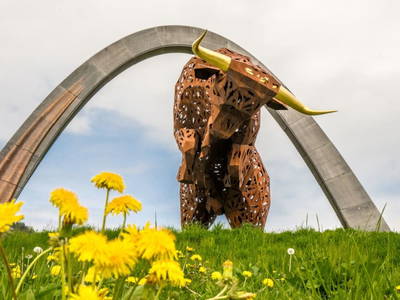 Bild 105 aus  Adelwöhrerhof