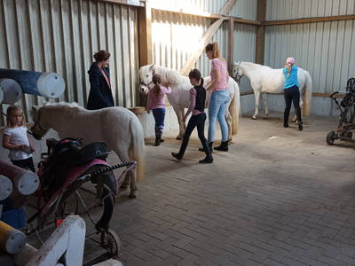 Bild 9 aus  Ferienhof Mohr-Meiburg