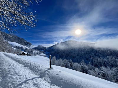 Bild 104 aus  Bio-Bergbauernhof Möslhof