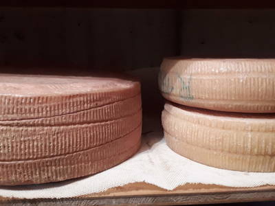 Bild 102 aus  Schwarzenbichlalm