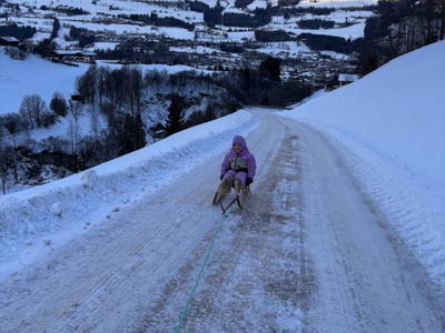 Bild 99 aus  Rieserhof