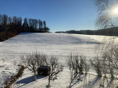 Bild 9 aus  Huber Hof