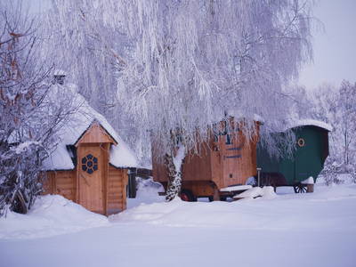 Bild 36 aus  Erlenhof im Oderbruch - Rund ums Schaf