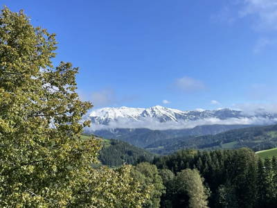 Bild 65 aus  Rotbuchner 