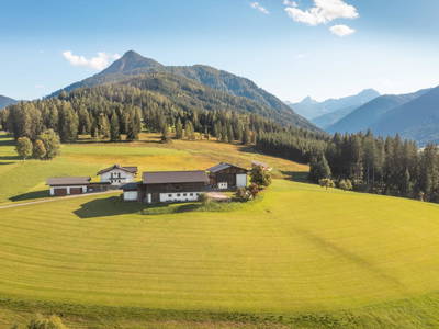 Bild 3 aus  Egglbauer