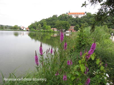 Bild 22 aus  Gästehaus Schlossblick