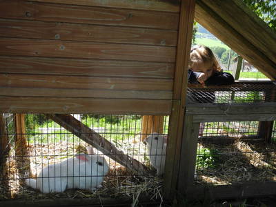 Bild 51 aus  Peter in der Edt