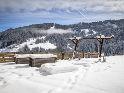 Bild 130 aus  Brennergut