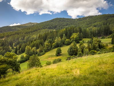 Bild 59 aus  Schobergut