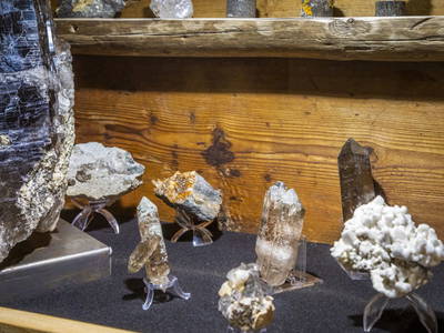 Bild 96 aus  Schwaigerlehen - Berngarten