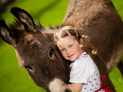 Bild 3 aus  Erlebnisbauernhof Steinerhof in Kärnten