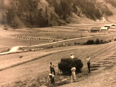 Bild 74 aus  Alfaierhof & Bergheimat