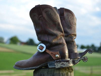 Bild 70 aus  Schönlehenhof