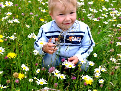 Bild 3 aus Bio Bauernhof - Haim - Schnepfleitner