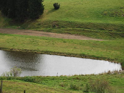 Bild 27 aus  Spathof