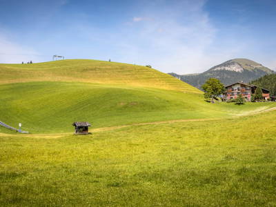Bild 130 aus  Bachrain - Bio am Berg 