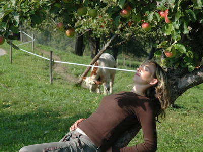 Bild 49 aus  Nussbaumerhof   