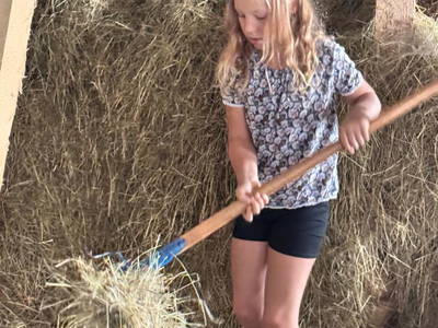 Bild 149 aus  Wallneralm