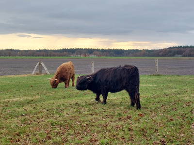 Bild 4 aus  Ferienhof Wegmann