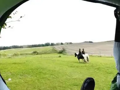 Bild 13 aus  Bernsteinreiter Barth