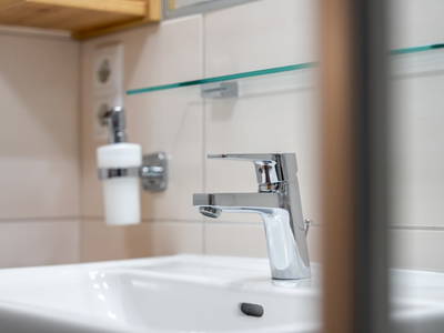 Bild 209 aus  Bio Bauernhof Tobhartbauer