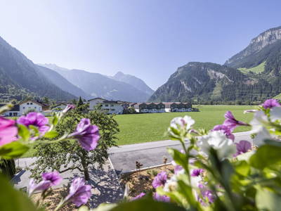 Bild 102 aus  Larchergut