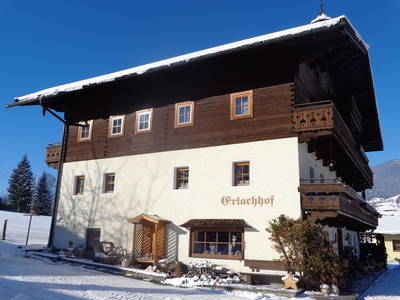 Bild 88 aus  Erlachhof